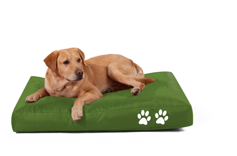 Fritz-Sitzsack Dog Bed grün